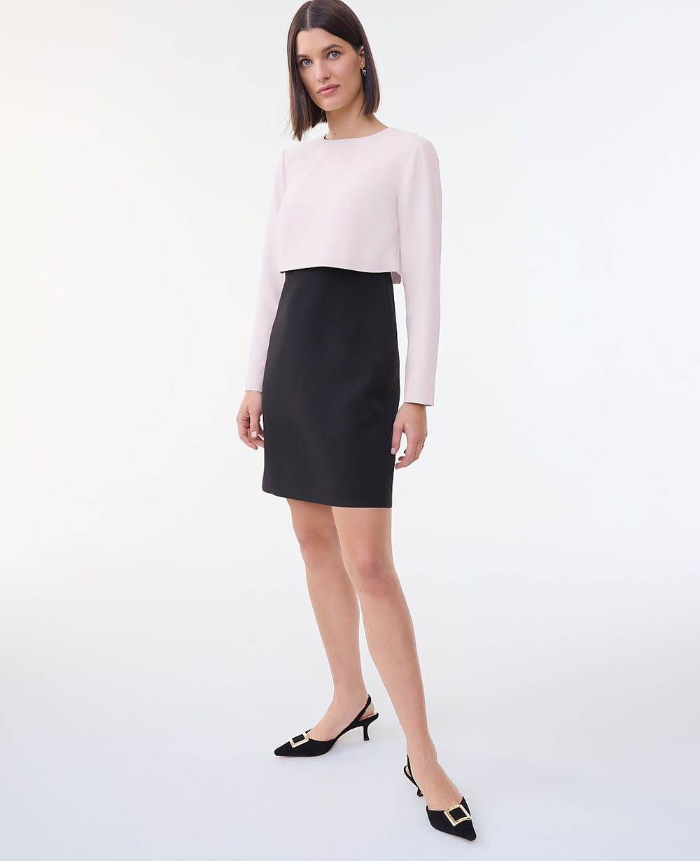 Ann Taylor Ivory Whisper Colorblock Crew Neck Shift Dress