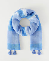 Ann Taylor Vista Blue Weekend Striped Scarf