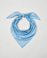 Ann Taylor Daybreak Blue Weekend Embroidered Scarf