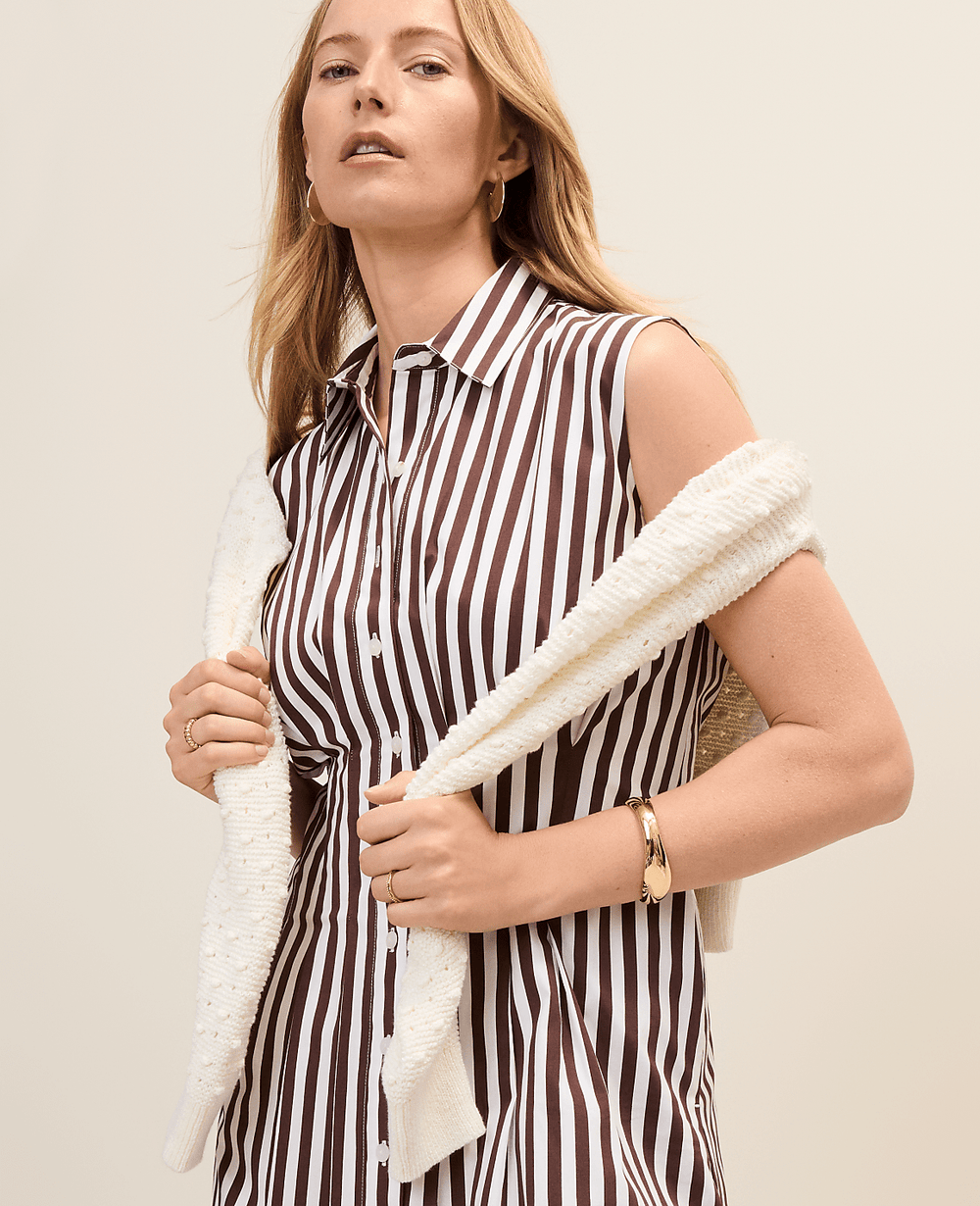 Ann Taylor Rich Walnut Petite Weekend Striped Pleated Midi Shirtdress