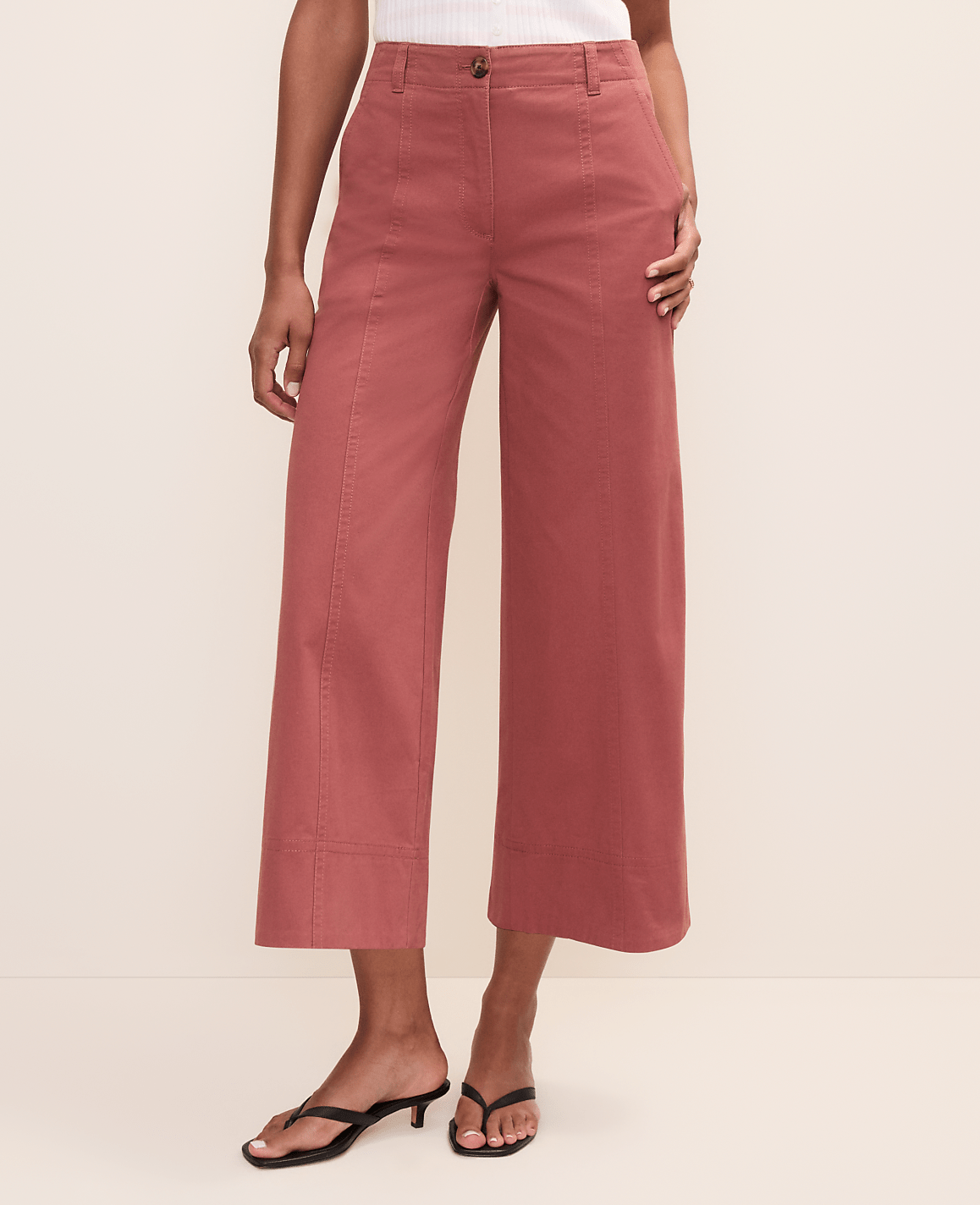 Ann Taylor Terra Toscana Petite Weekend Wide-Leg Ankle Pant