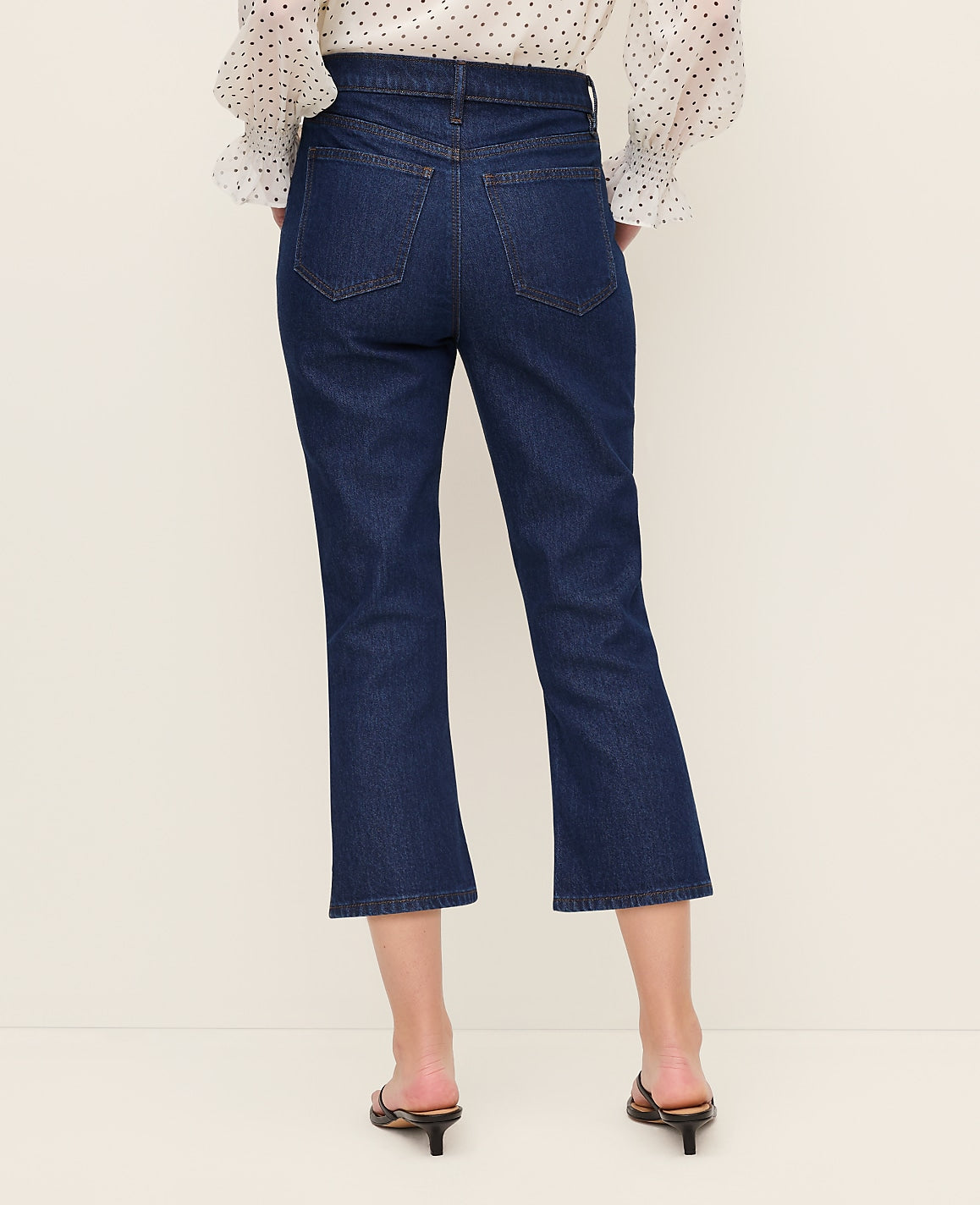 Ann Taylor Classic Rinse Wash The Capri Jean