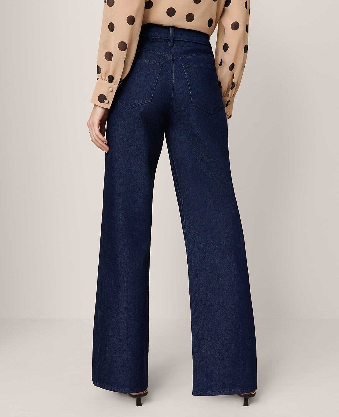 Ann Taylor Classic Rinse Wash The Wide-Leg Jean