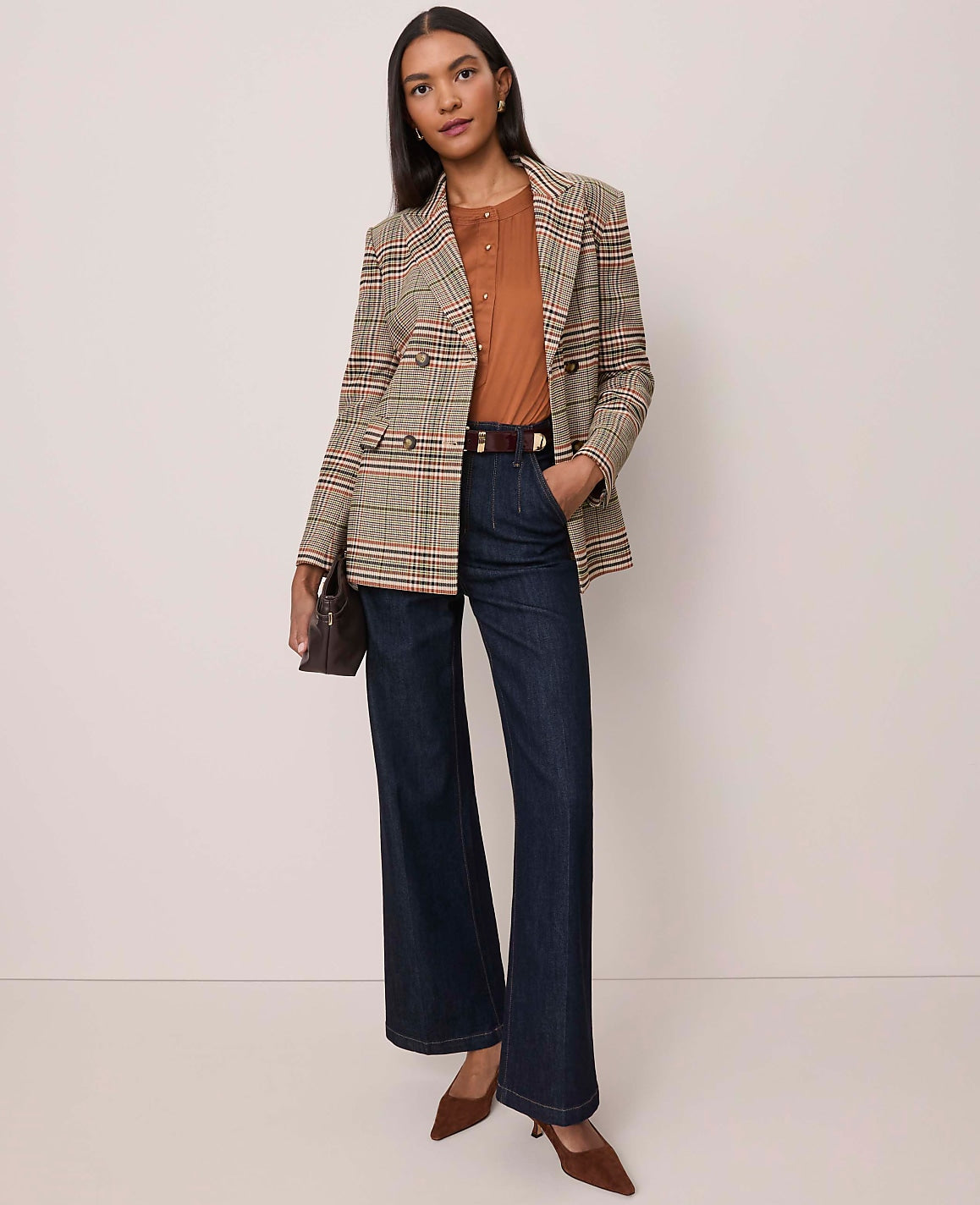 Ann Taylor Classic Rinse Wash The Darted Waist Trouser Jean