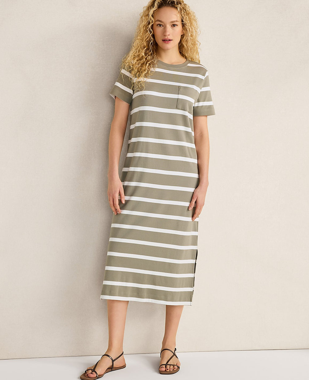 Ann Taylor Vetiver Haven Well Within Organic Cotton Interlock Striped Short Sleeve Dress