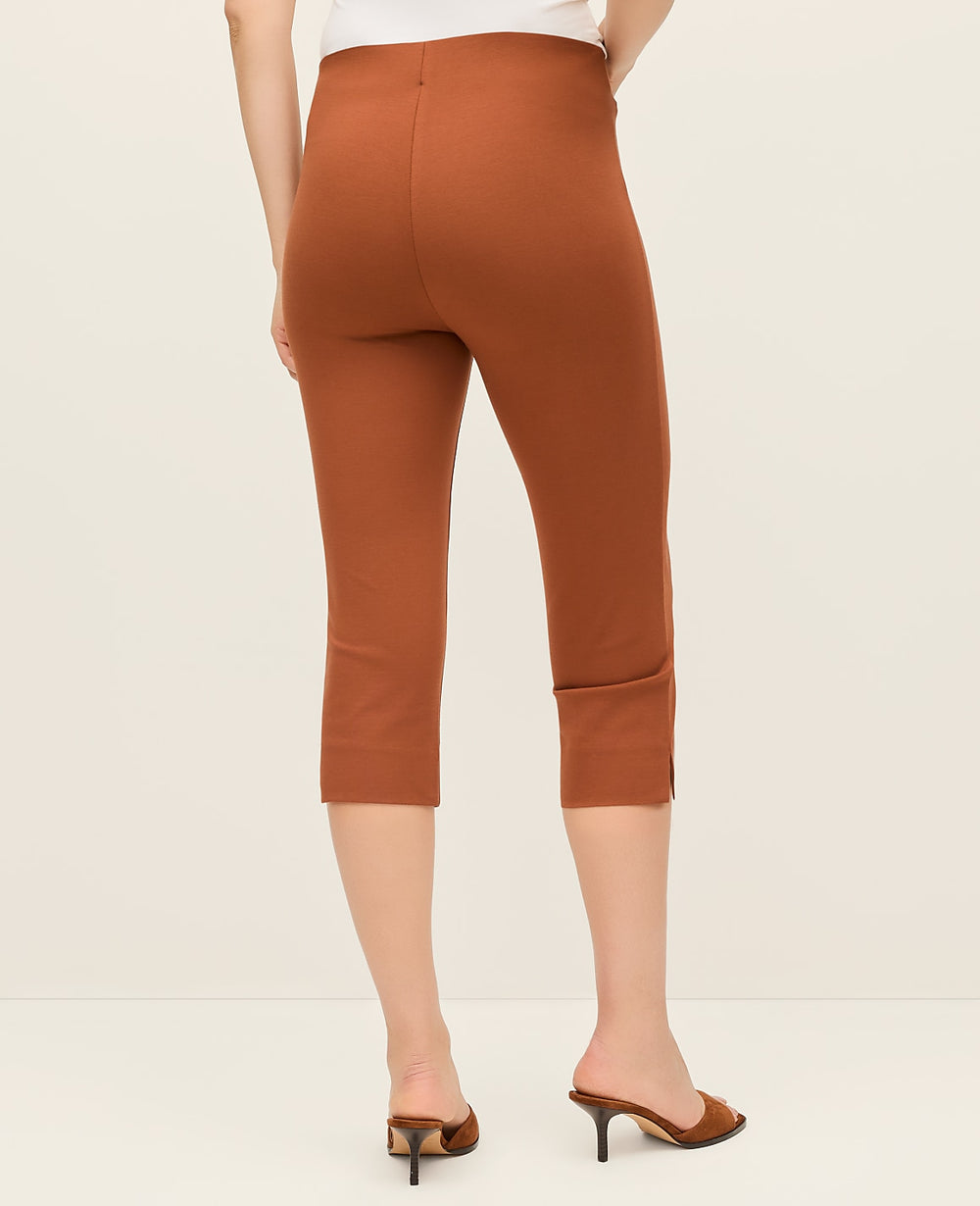Ann Taylor Tortoise Shell Brown The Capri Pant in Ponte