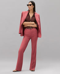Ann Taylor Rose Clay The Petite High Rise Trouser