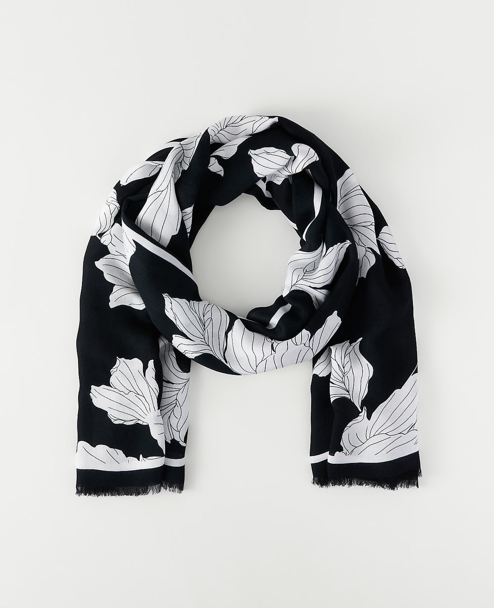 Ann Taylor Black Floral Scarf